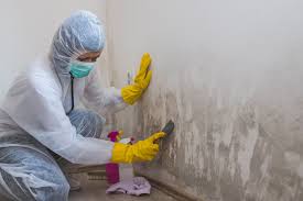 Best Emergency Mold Remediation  in Whitehorn Cove, OK